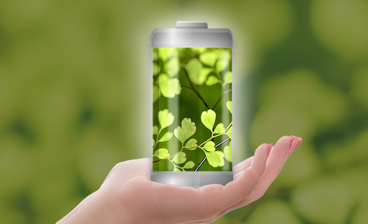 Support a Greener World