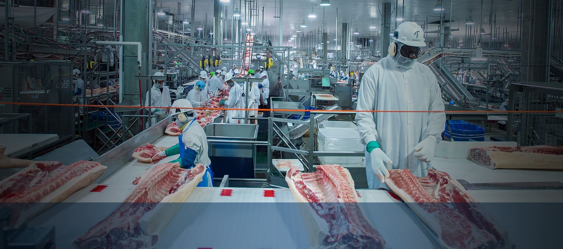 Food Industry