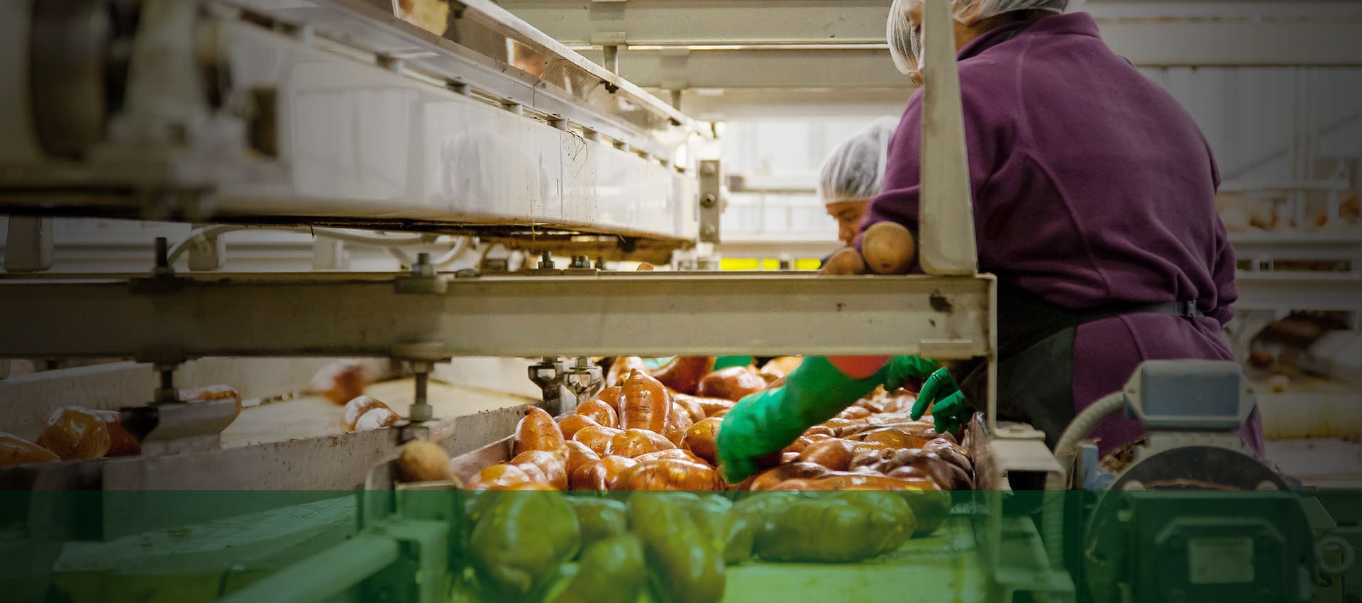 Food Industry