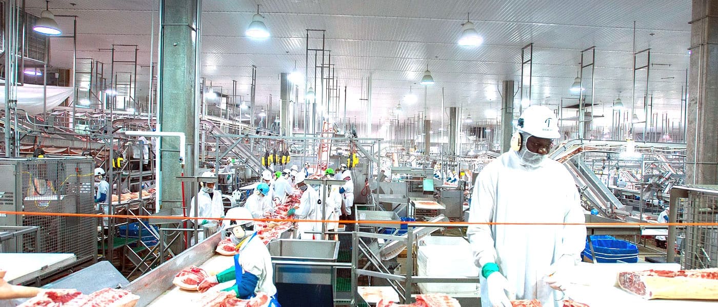 Food Processing